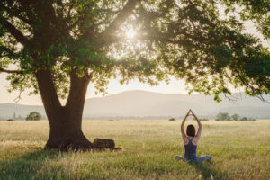 Woman practices yoga next to a tree in a field
