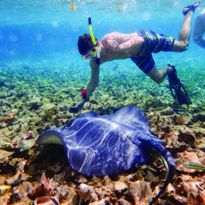 A student goes snorkeling during a Study Away trip to Belize