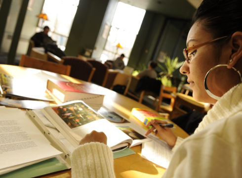 Studying in the Library