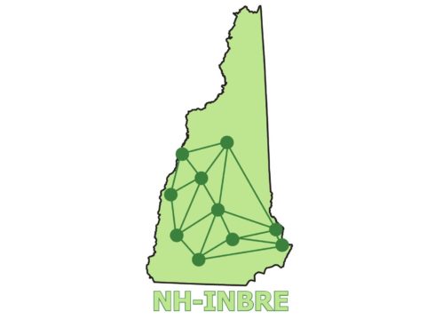 New Hampshire INBRE logo