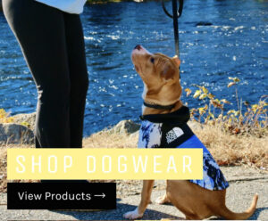 Dog fashion wear business idea developed by NEC student David Novotny for the annual NEC Shark Tank competition