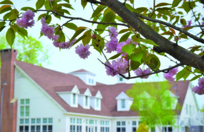 Simon Center in the spring with cherry blossoms