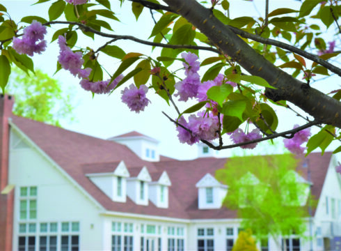 Simon Center in the spring with cherry blossoms