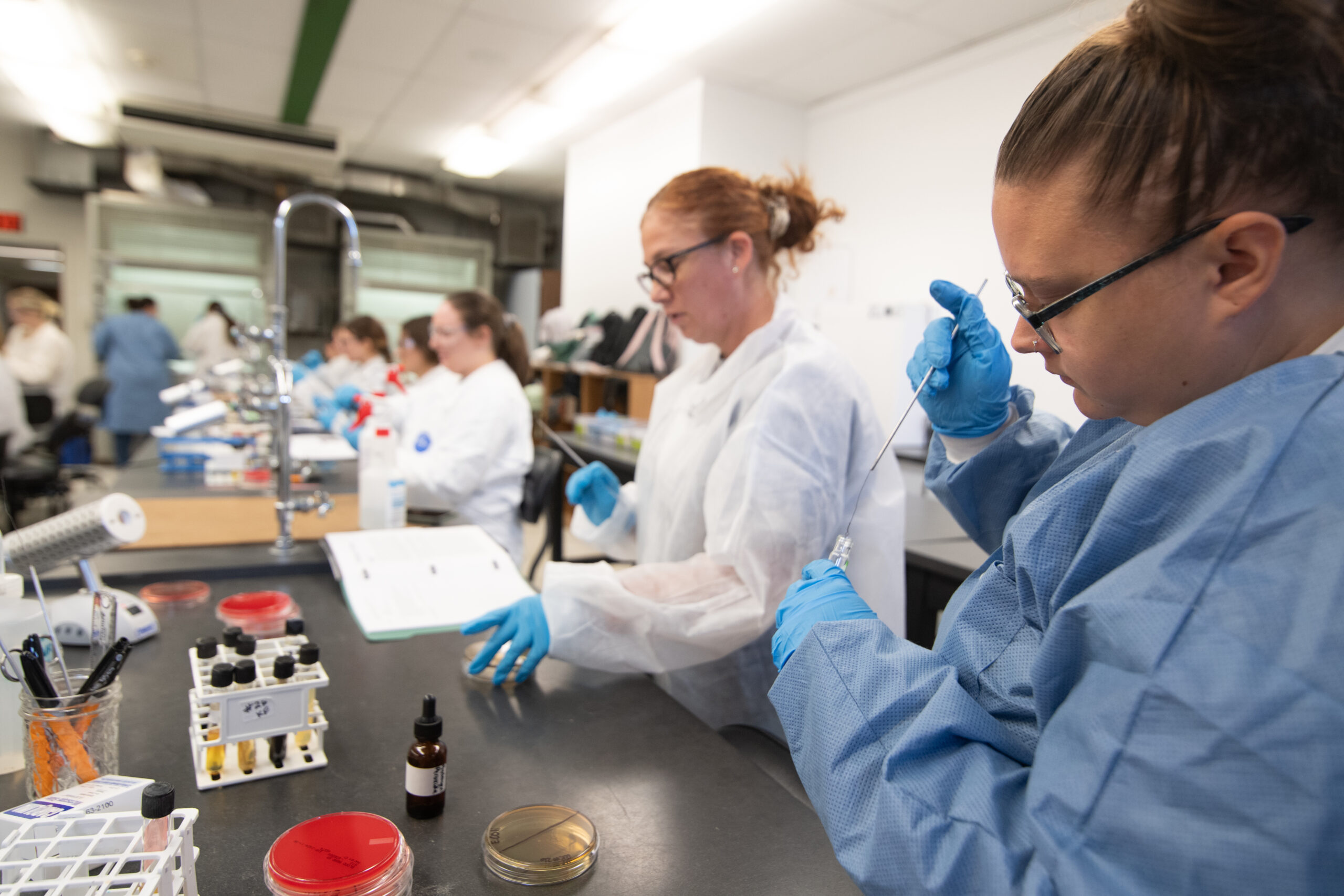 Biology, Biotechnology, and Health Science Virtual Information Session | March 4