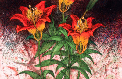 Artwork featuring three lilies, intaglio on paper