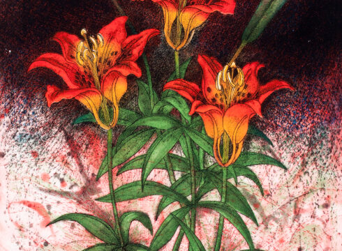 Artwork featuring three lilies, intaglio on paper