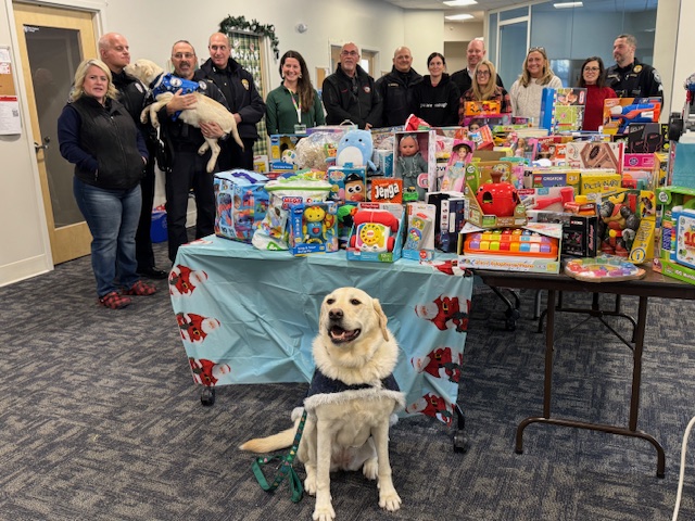 Comfort dogs Liberty and Bailey pose with volunteers and gifts during New England College’s third annual toy drive for children at Children's Hospital at Dartmouth.