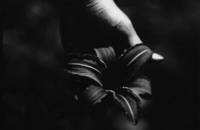 "Ditch Lily" photograph by Juliette Watkins