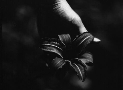 "Ditch Lily" photograph by Juliette Watkins